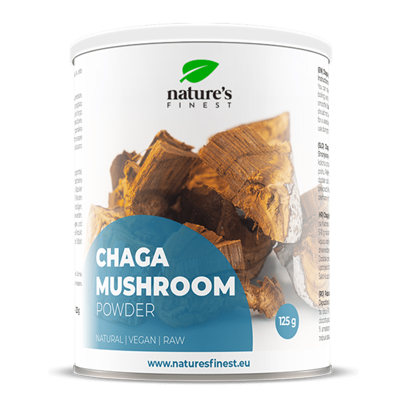 Chaga en poudre