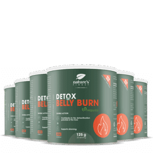 Detox Belly Burn 6x paquet