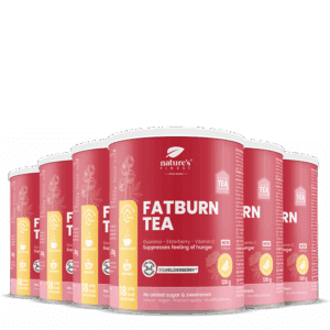 FatBurn Tea 6x paquet