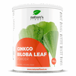 Ginkgo biloba en poudre