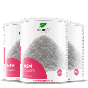 MSM en poudre paquet