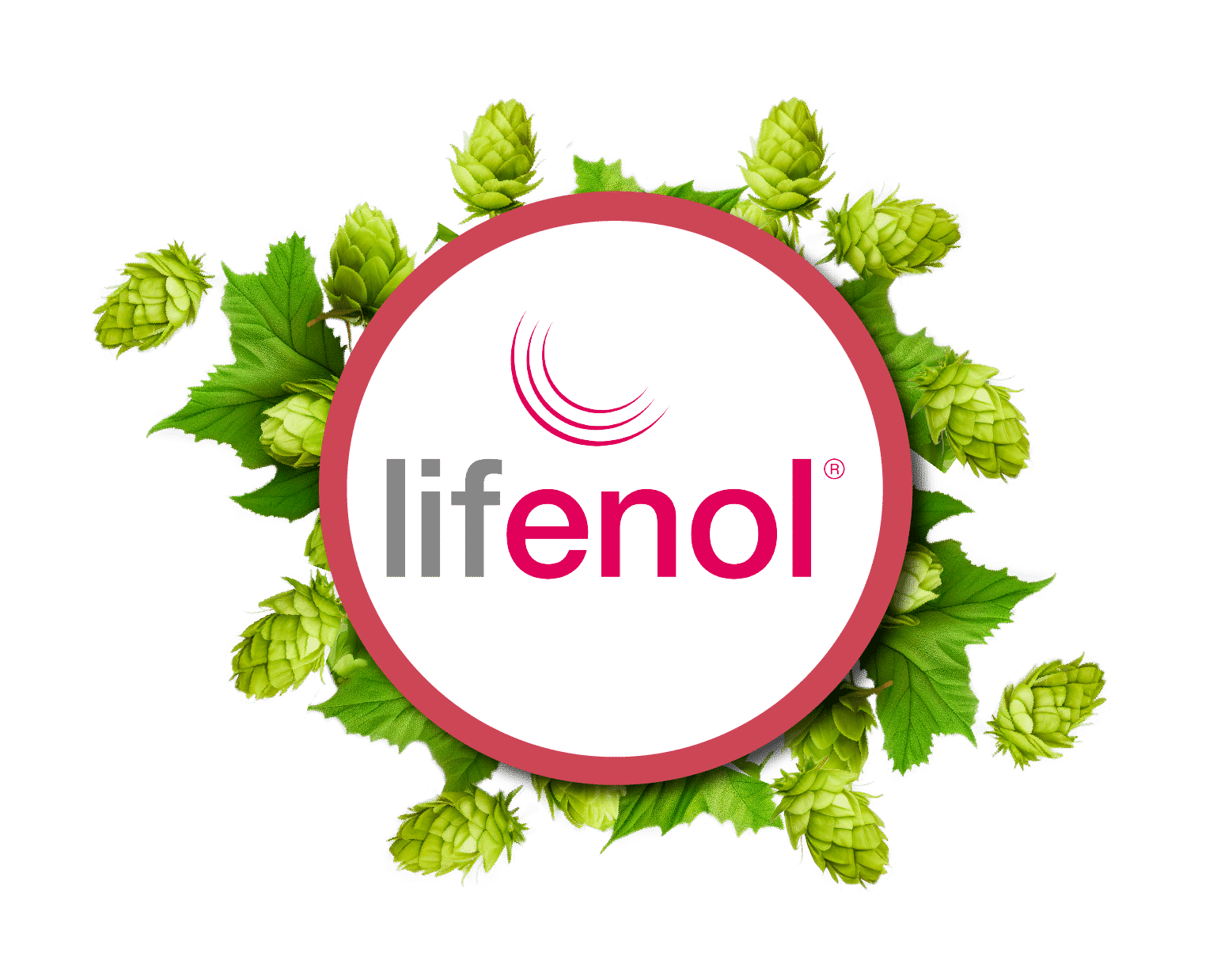 Image de l'option produit