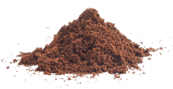 extrait de palmier nain