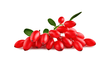 Rebersa ® (extrait de berbérine)