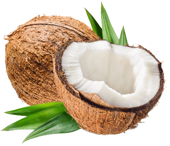 poudre pour boisson à la noix de coco