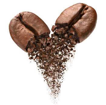 grains de café Arabica