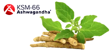 Ashwagandha KSM-66®